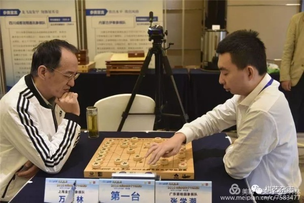 2018中国象棋特级大师比赛回顾（顶尖选手的精彩对决）